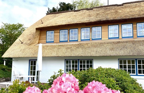 Norddorf Apartment | Vacation with dog, incl.