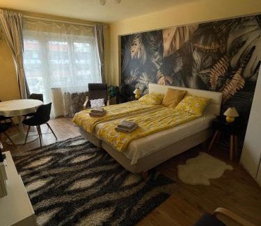 Goncz Arpad varoskozpont Apartment | VacyBlue 1138 Vaci Street 138b