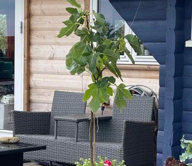 Frolunde House | Valhallavej 19, 4200 Slagelse