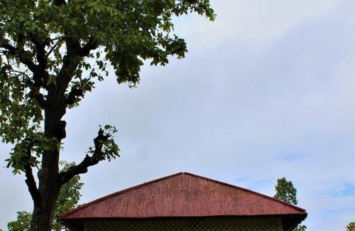 Ahwa Hotel | Vanvaso Resort and Adventure Park