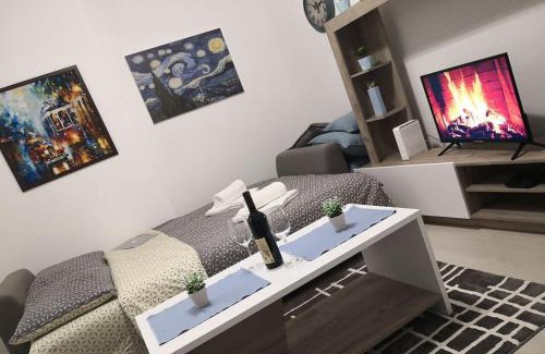 Grbavica Apartment | Vasa Central Studio