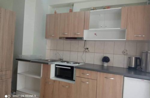 Eleios-Pronnoi Apartment | Vasilis Travlos apartment