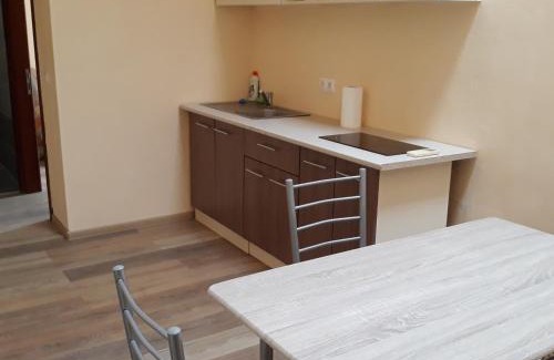 Kyiv Apartment | Veľká Vasylkivska, 132,