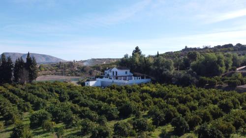 Alhaurin el Grande House | Vega Fahala Organic Orchard & Vacation Villa
