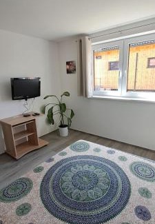 Cervena Tremesna Apartment | Vejminek 87