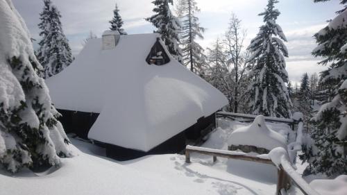 Kamnik Cabin | Velika Planina Koča Kekec