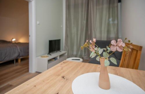 Subotica Apartment | Velora apartments