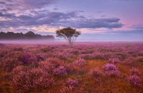 Krachtighuizen Ski Chalet | Veluwe Boutique Lodge