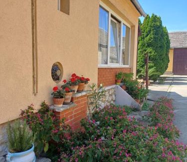 Udvar Apartment | Vendégház