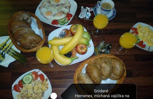 Moravske Budejovice House | VENUŠE MB