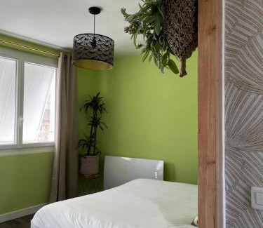 Perigueux Apartment | ver t chez nous Parking privé ascenseur balcon