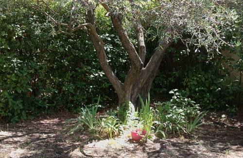 Les Angles House | Very comfortable house close to the historic center of Avignon and Villeneuve!