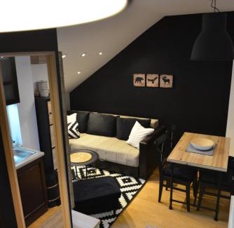 Kopaonik Apartment | Višnja apartment