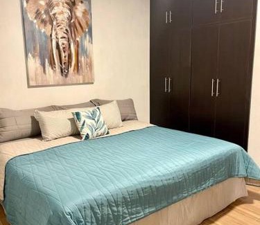 Guadalajara Municipality Apartment | Vico rose