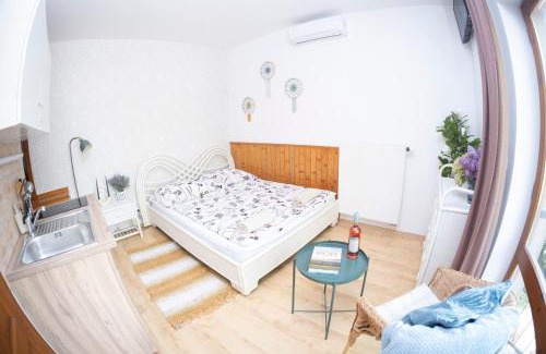 Siofok Aranypart House | Vicze Apartmanház