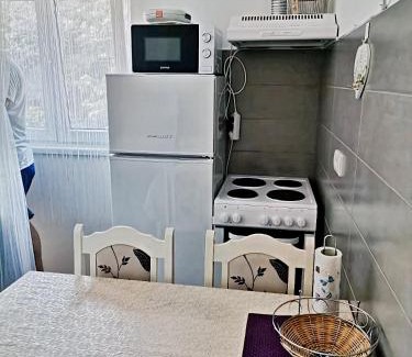 Vrnjacka Banja Apartment | Vidikovac