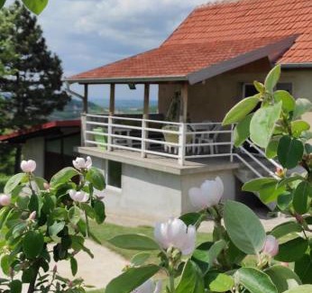 Mladenovac House | Vikend house