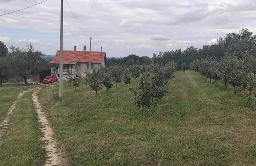 Mladenovac House | Vikend house