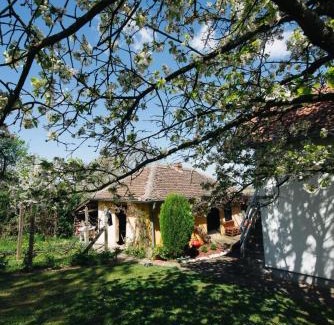 Central Serbia House | Vikendica Ilic - Petrovac na Mlavi