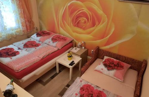 Novi Sad House | Vikendica Jasmina, Novi Sad, Fruška gora, Ledinci