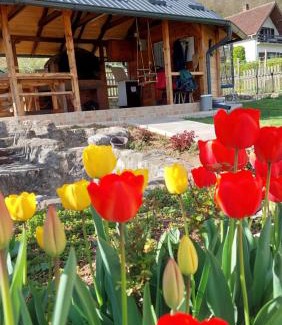 Bajina Basta House | Vikendica Obradović
