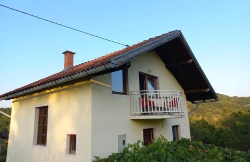 Republika Srpska House | Vikendica Savić