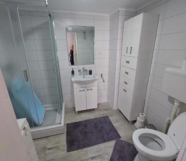 Vrsac Apartment | VIKI apartman