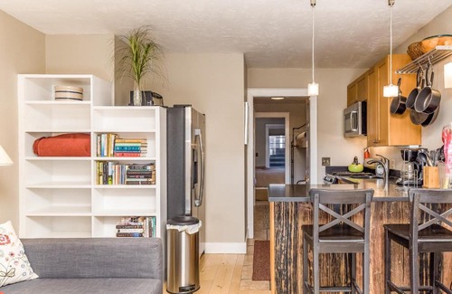 Telluride Apartment | Viking Lodge