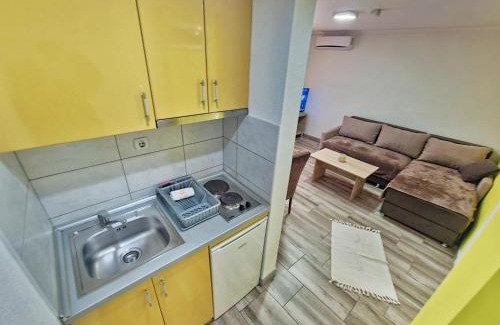 Soko Banja Apartment | Vila Aleksandra 2 Apartman 1