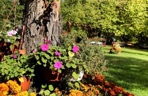Zlatibor Apartment | Vila Aris Zlatibor
