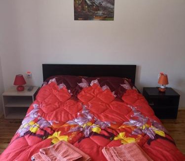 Stara Planina House | VILA BOJANA