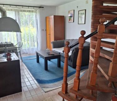 Central Serbia Resort | Vila Borjak