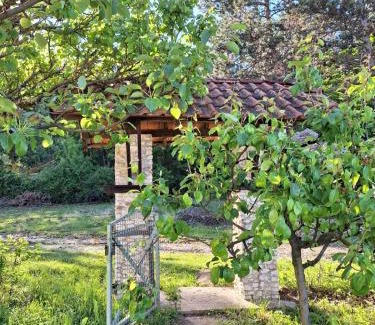 Central Serbia Resort | Vila Borjak