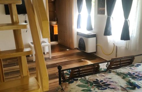 Petrovaradin Bed & Breakfast | Vila Davidovic-Fruska gora