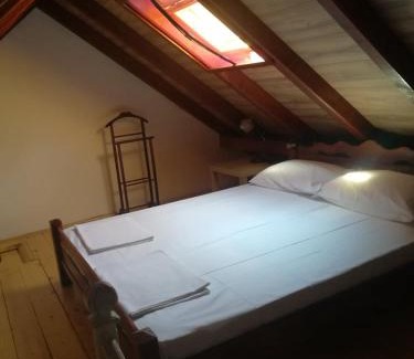 Petrovaradin Bed & Breakfast | Vila Davidovic-Fruska gora