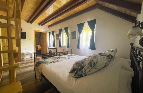 Petrovaradin Bed & Breakfast | Vila Davidovic-Fruska gora