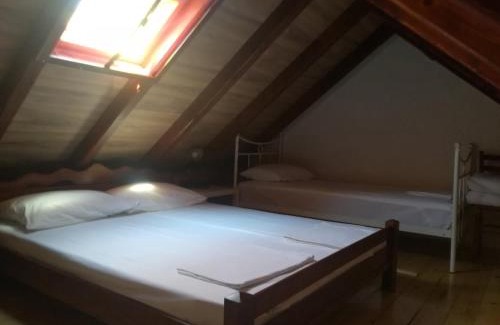 Petrovaradin Bed & Breakfast | Vila Davidovic-Fruska gora