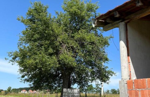 Central Serbia House | VILA DELT