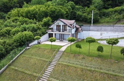 Central Serbia House | Vila Dina