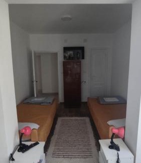 Gornja Trepca Apartment | Vila Dusica