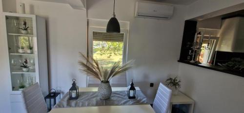 Nis Villa | Vila Elena
