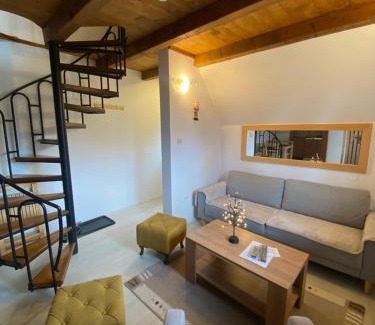 Mitrovac Apartment | Vila Grand Mitrovac