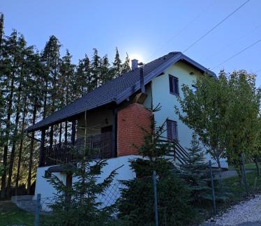 Bajina Basta Villa | Vila Hajdi Planina Tara
