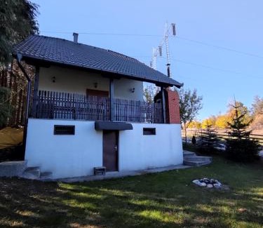 Bajina Basta Villa | Vila Hajdi Planina Tara