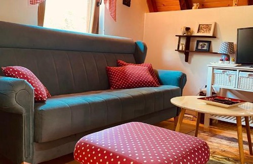 Bajina Basta Villa | Vila Jasika