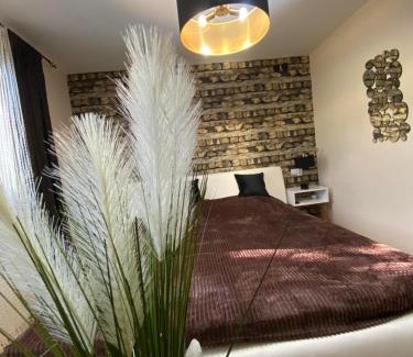 Bor Apartment | Vila Jezerski raj Borsko jezero