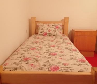 Stara Planina Apartment | Vila Jova