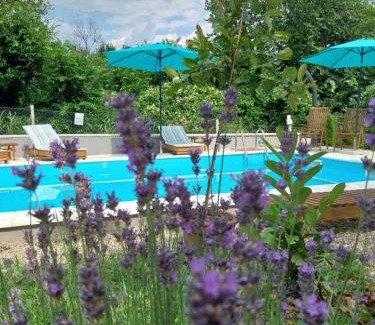 Petrovaradin Villa | Vila Kraljev Breg Fruška Gora Pool and Padel