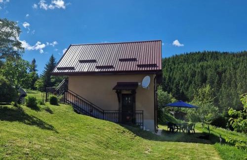 Zlatibor House | Vila Mica - STD Bojovići Zlatar