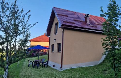 Zlatibor House | Vila Mica - STD Bojovići Zlatar